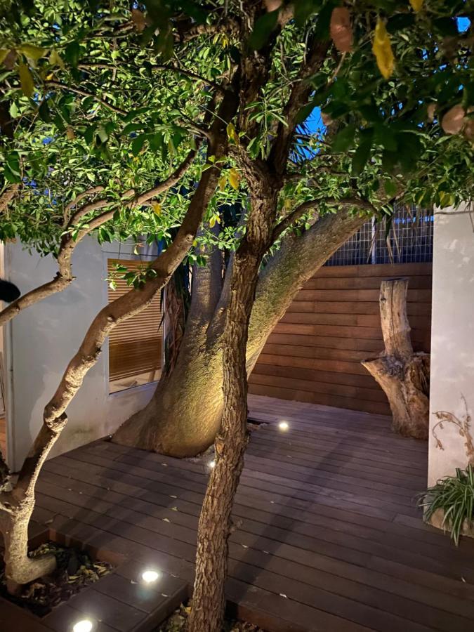 Le Jardin Cache Apartment Sanary-sur-Mer Exterior photo