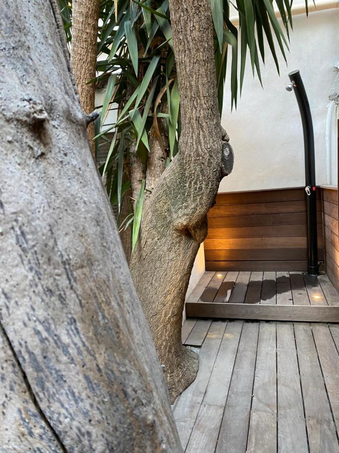 Le Jardin Cache Apartment Sanary-sur-Mer Exterior photo